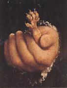 Lorenzo Lotto Man with a Golden Paw (mk45) oil